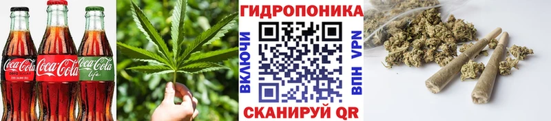 Купить закладки  Туймазы  Cannafood конопля 