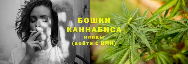PSILOCYBIN Козельск