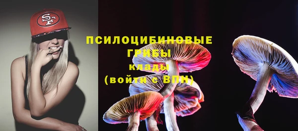 герыч Козловка