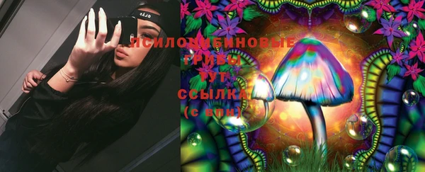 PSILOCYBIN Козельск