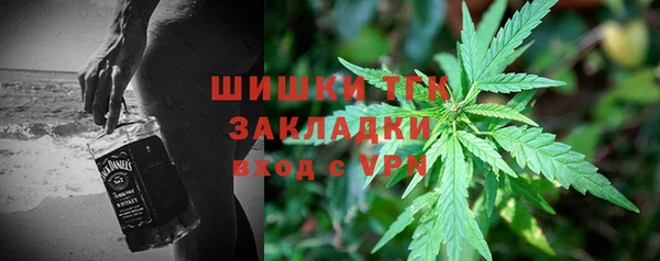 PSILOCYBIN Козельск