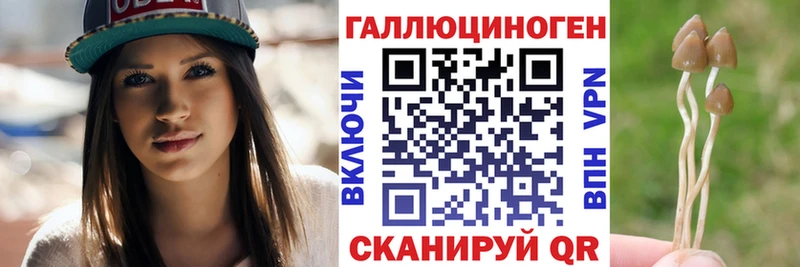 Купить  Туймазы  Псилоцибиновые грибы Magic Shrooms 